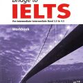 (Download PDF) Bridge to ielts Workbook, Pre-intermediate-Intermediate Band 3.5 to 4.5, Cengage Learning, National Geographic Learning