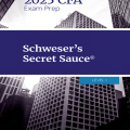 (Download PDF) | CFA Level 1 2023 Secret Sauce, 2023 CFA Exam Prep (CFA level I)