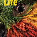 PDF + Mp3 | Life Beginner Student Book 3rd edition Student Book (British English)