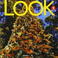 Look 1 Student Book, National Geographic Learning, Katherine Bilsborough, Steve Bilsborough, Paul Dummett, Elaine Boyd