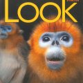(PDF + Mp3) Look Starter, National Geographic Learning, Look textbook
