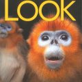 (PDF + Mp3) Look Starter Workbook, Gregg Schroeder, Elaine Boyd, Paul Dummett, National Geographic Learning