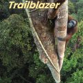 PDF + Mp3 | Trailblazer 1 Student Book