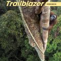 PDF + Mp3 | Trailblazer 1 Workbook