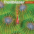 PDF | Trailblazer 4 Lesson Planner (Teacher's book) + Asessment (Tests) (sách giáo viên + tài nguyên)