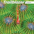 PDF + Mp3 | Trailblazer 4 Workbook