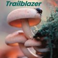 PDF + Mp3 | Trailblazer Starter Student Book