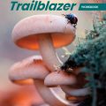 PDF + Mp3 | Trailblazer Starter Workbook